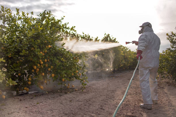 Best Best Pest Control Companies  in Stevens Point, WI