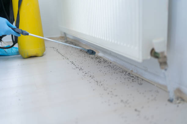 Best Pest Removal Services  in Stevens Point, WI